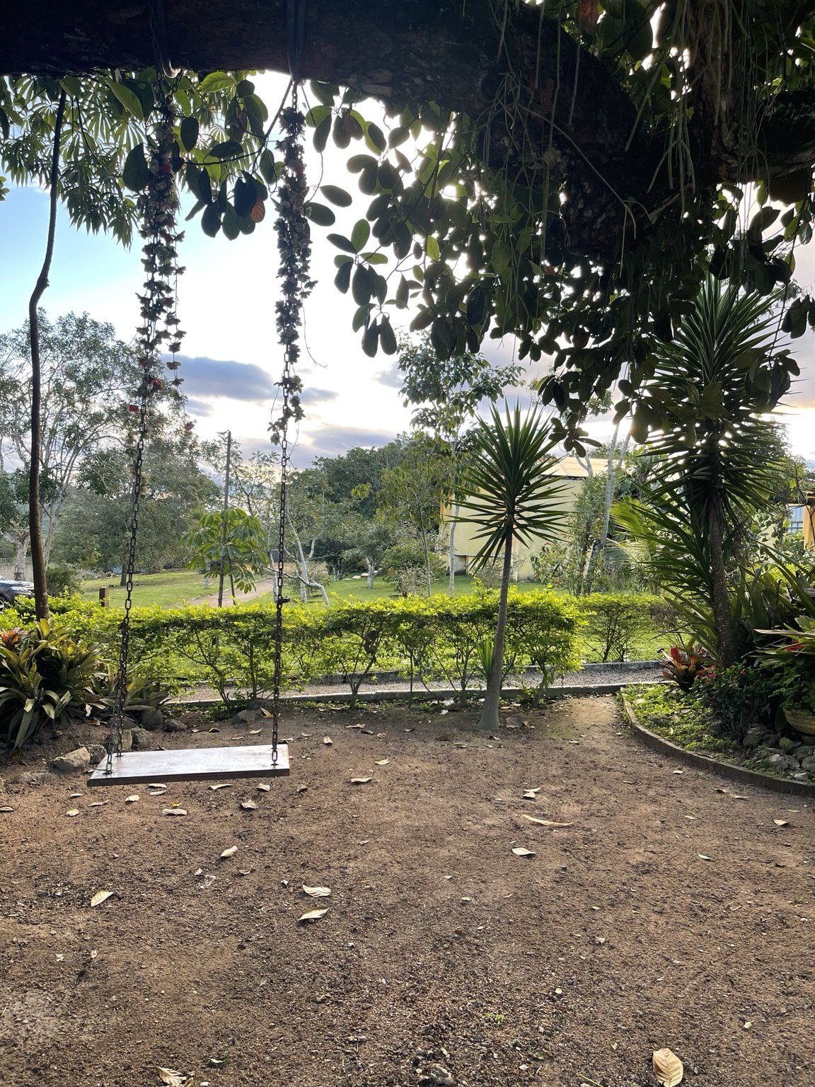 Jardim arborizado do condomínio
